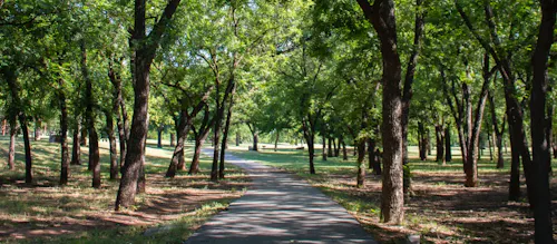 Park