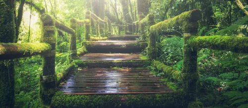 Path